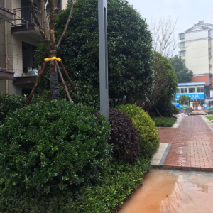 長沙市木蓮世家項(xiàng)目園林景觀工程