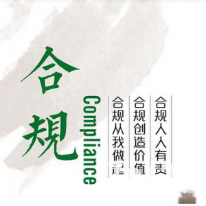 《關(guān)于建立涉案企業(yè)合規(guī)第三方監(jiān)督評估機(jī)制的指導(dǎo)意見（試行）》實施細(xì)則